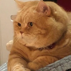 当回忆都过去封面